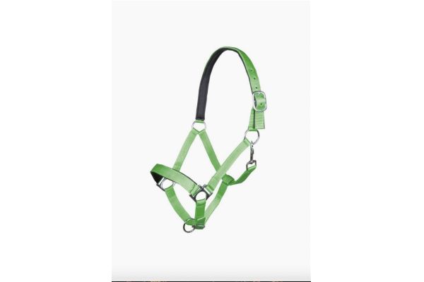 Capezza Stars HKM