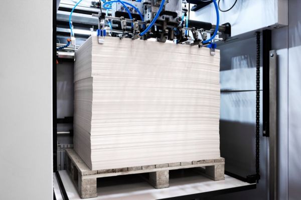 Solo stampa fogli elettorali